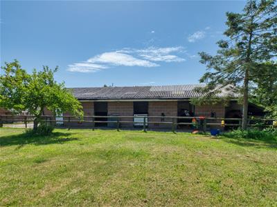 Picture 21